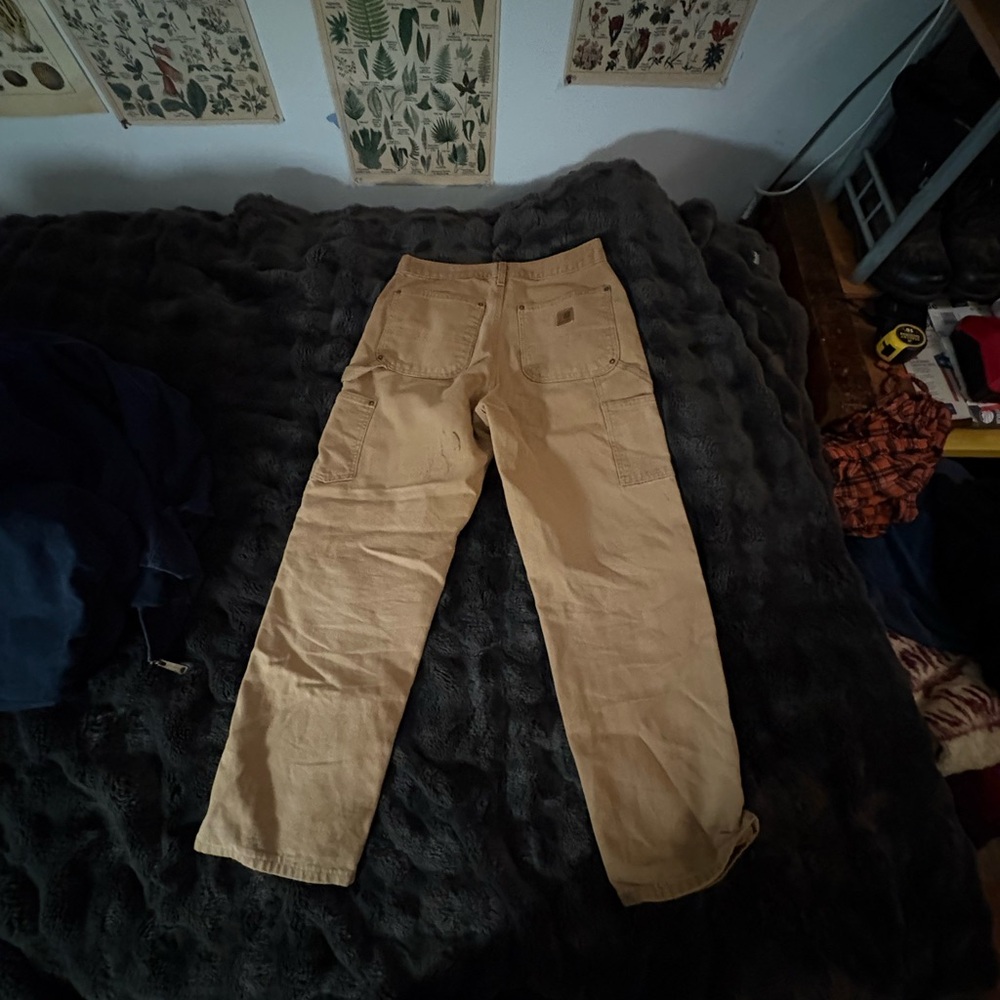 Carhartt Men's Brown Cargo Pants